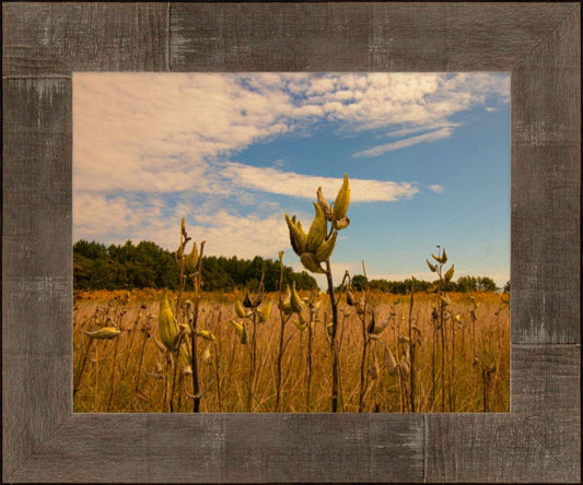 11x14 High quality fine art smooth matte print set in a rustic frame with glare-resistant acrylic. Comes ready to hang finished with a wire hanger.