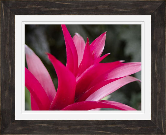 11x14 High quality fine art smooth matte print set in a double white mat, distressed black frame and glare-resistant acrylic. Comes ready to hang finished with wire hanger.