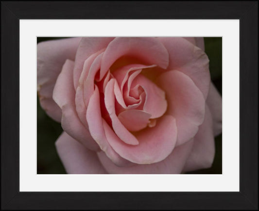 11x14 High quality smooth matte print set in a gallery black frame with a white mat and glare-resistant acrylic. Comes ready to hang finished with a wire hanger.