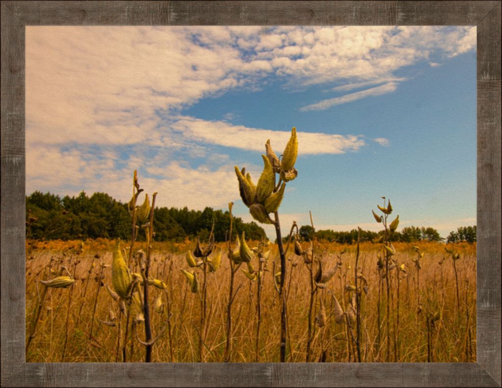 30x40 High quality fine art smooth matte print set in a rustic frame with glare-resistant acrylic. Comes ready to hang finished with a wire hanger. 