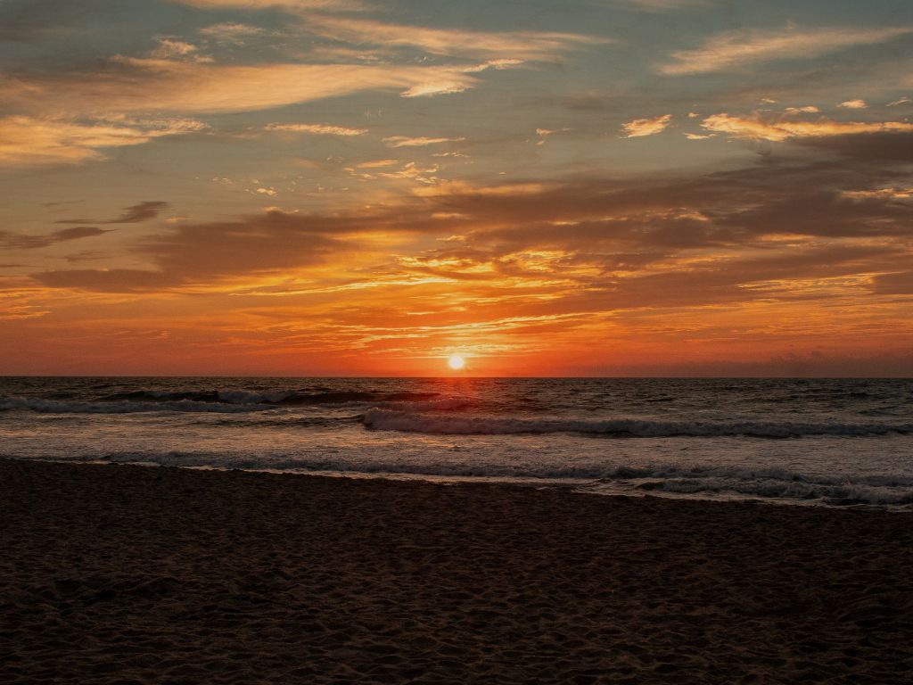 A gorgeous ocean front sunrise splashed vibrant colors across the sky. 30x40 wood 