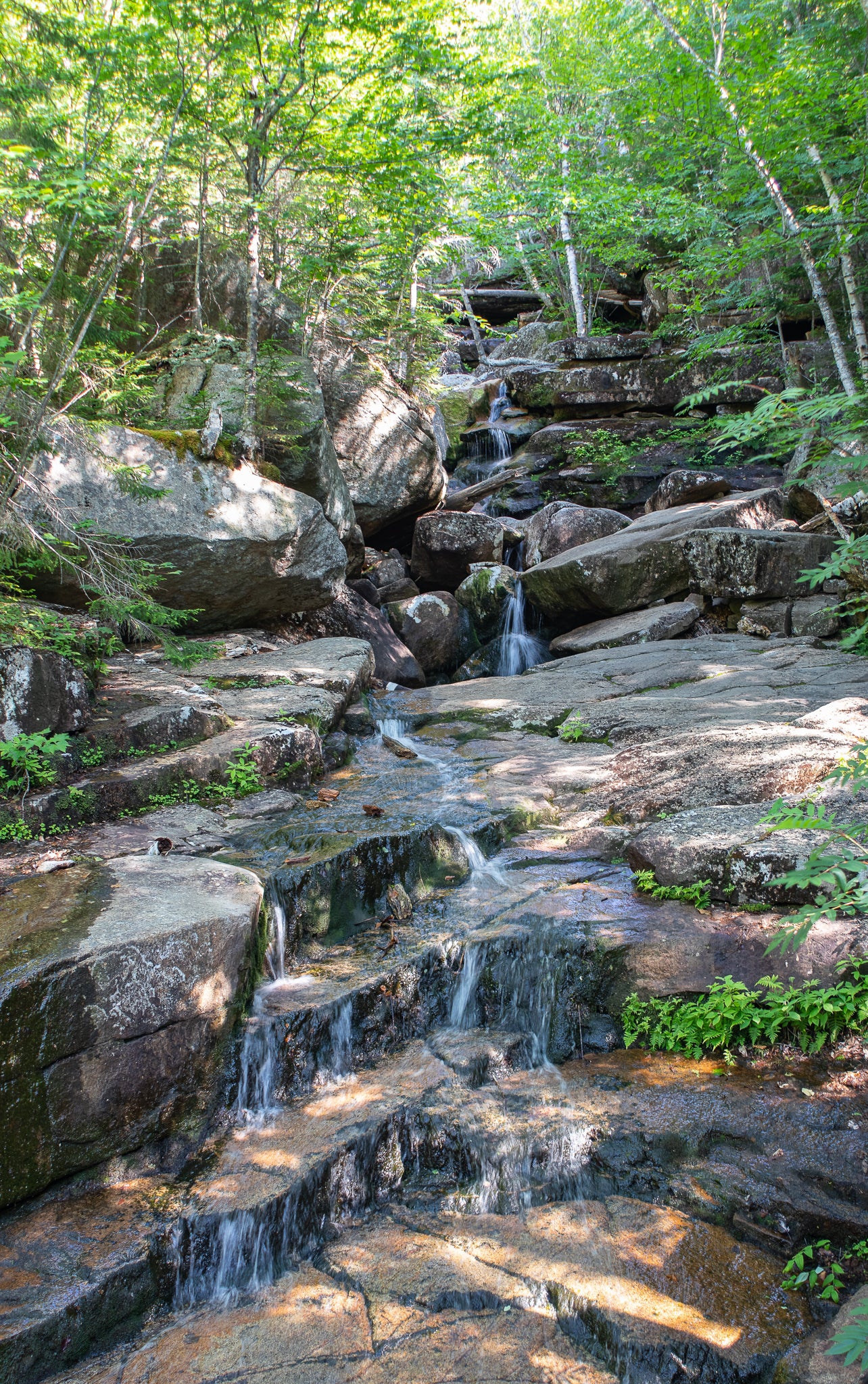 Cascading Stream Metal Print