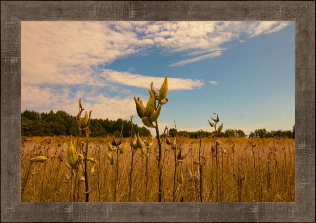 24x36 High quality fine art smooth matte print set in a rustic frame with glare-resistant acrylic. Comes ready to hang finished with a wire hanger. 