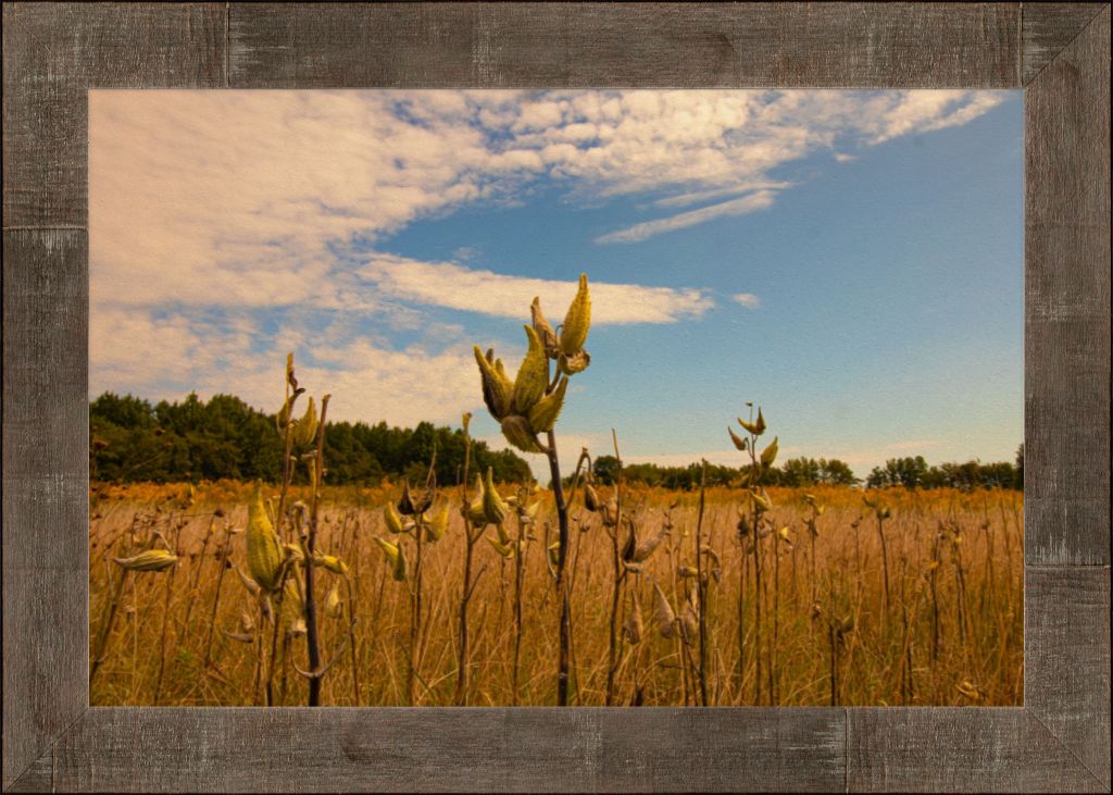 16x20 High quality fine art smooth matte print set in a rustic frame with glare-resistant acrylic. Comes ready to hang finished with a wire hanger. 