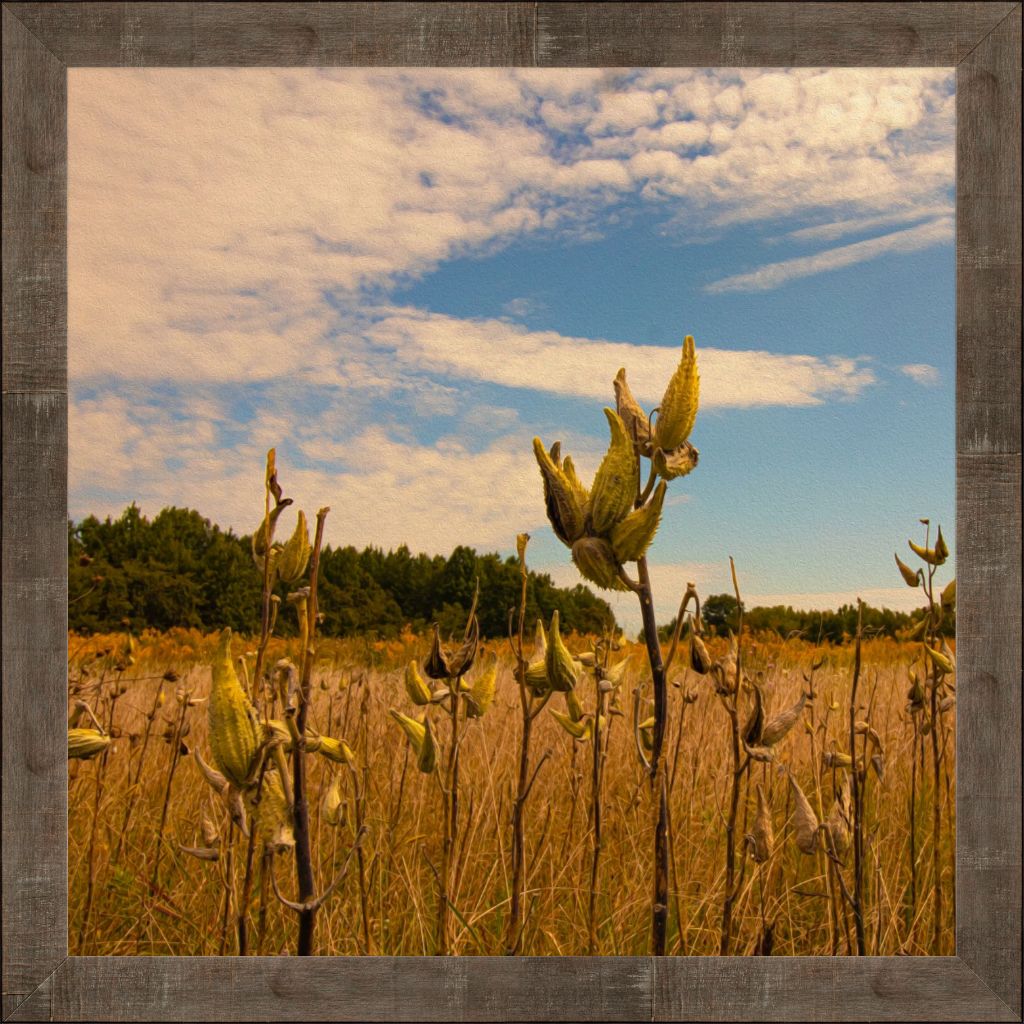 20x30 High quality fine art smooth matte print set in a rustic frame with glare-resistant acrylic. Comes ready to hang finished with a wire hanger. 